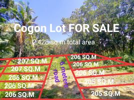  Land for sale in Tagbilaran City, Bohol, Tagbilaran City