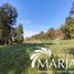  Terreno (Parcela) en venta en Araucanía, Villarrica, Cautín, Araucanía