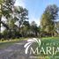  Terreno (Parcela) en venta en Araucanía, Villarrica, Cautín, Araucanía