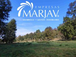  Terreno (Parcela) en venta en Araucanía, Villarrica, Cautín, Araucanía
