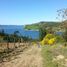  Terreno (Parcela) en venta en Los Lagos, Castro, Chiloé, Los Lagos