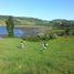  Terreno (Parcela) en venta en Los Lagos, Castro, Chiloé, Los Lagos