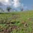  Terreno (Parcela) en venta en Melipilla, Santiago, Curacavi, Melipilla