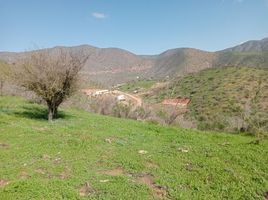  Terreno (Parcela) en venta en Melipilla, Santiago, Curacavi, Melipilla