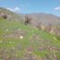  Terreno (Parcela) en venta en Melipilla, Santiago, Curacavi, Melipilla
