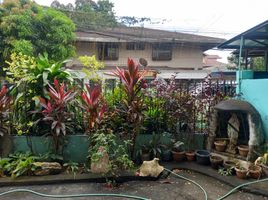 5 Bedroom House for sale in Holy Family School of Quezon City, Quezon City, Quezon City