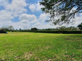  Land for sale in Pereira, Risaralda, Pereira