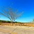  Land for sale in Compostela, Nayarit, Compostela