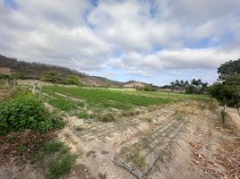  Land for sale in Sucre, Manabi, Charapoto, Sucre