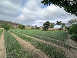  Grundstück zu verkaufen in Sucre, Manabi, Charapoto