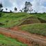  Terreno (Parcela) en venta en Guarne, Antioquia, Guarne