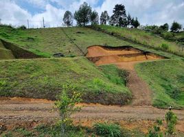  Terrain for sale in Guarne, Antioquia, Guarne