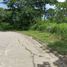  Land for sale at Forest Farms, The Grove, Angono