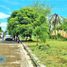 Terrain à vendre à Lapu-Lapu City, Central Visayas, Lapu-Lapu City, Cebu, Central Visayas, Philippines