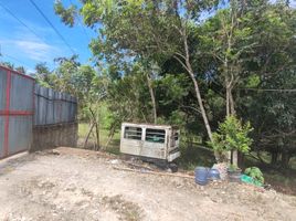  Land for sale in Carmen, Cebu, Carmen