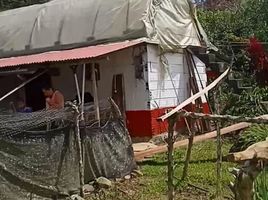 2 Habitación Casa en venta en Colombia, Amalfi, Antioquia, Colombia