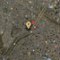  Land for sale in Gustavo A Madero, Mexico City, Gustavo A Madero, Mexico City, Mexico