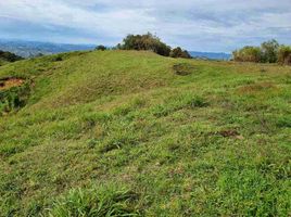  Land for sale in Marinilla, Antioquia, Marinilla