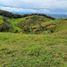  Land for sale in Marinilla, Antioquia, Marinilla