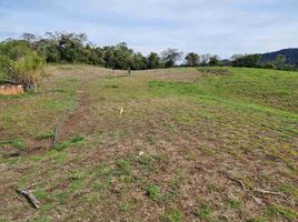  Terreno (Parcela) en venta en Marinilla, Antioquia, Marinilla