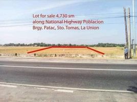  Land for sale in La Union, Ilocos, Santo Tomas, La Union