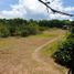  Terreno (Parcela) en venta en Calamba City, Calabarzon, Calamba City, Laguna