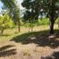  Terreno (Parcela) en venta en Calamba City, Calabarzon, Calamba City, Laguna