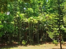  Terreno (Parcela) en venta en Calamba City, Calabarzon, Calamba City, Laguna