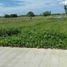 Land for sale in Aborlan, Mimaropa, Aborlan