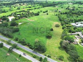  Land for sale in Cordoba, Monteria, Cordoba