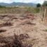  Terrain for sale in Jipijapa, Manabi, Puerto De Cayo, Jipijapa