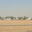  Land for sale in Atenco, Mexico, Atenco