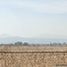  Land for sale in Atenco, Mexico, Atenco