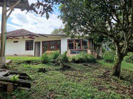 3 Bedroom Villa for sale in Cauca, Sotara, Cauca