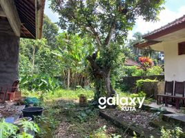 3 Bedroom House for sale in Tabanan, Bali, Tabanan, Tabanan