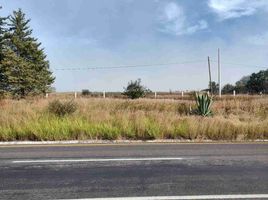  Land for sale in Patzcuaro, Michoacan, Patzcuaro