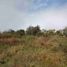  Land for sale in Patzcuaro, Michoacan, Patzcuaro