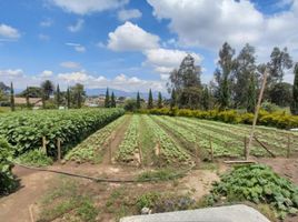  Terrain for sale in Yaruqui, Quito, Yaruqui