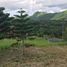  Land for sale in Talisay, Batangas, Talisay