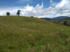  Terreno (Parcela) en venta en La Union De Sucre, Antioquia, La Union De Sucre