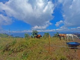  Terrain for sale in Caldas, Risaralda, Caldas