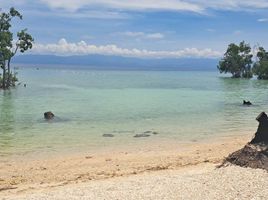  Land for sale in Alcoy, Cebu, Alcoy