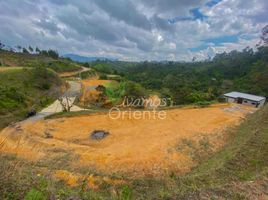  Terreno (Parcela) en venta en Guarne, Antioquia, Guarne