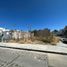  Land for sale in Salamanca, Guanajuato, Salamanca