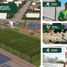  Terreno (Parcela) en venta en Asia, Lima, Asia