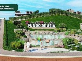  Terreno (Parcela) en venta en Asia, Lima, Asia