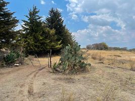  Terreno (Parcela) en venta en Huimilpan, Querétaro, Huimilpan