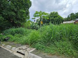  Land for sale in Taytay, Rizal, Taytay