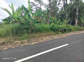  Grundstück zu verkaufen in Tabanan, Bali, Selemadeg, Tabanan