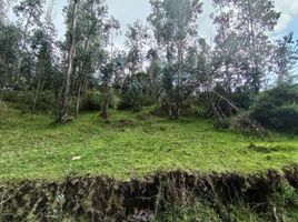  Land for sale in Alangasi, Quito, Alangasi